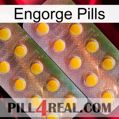 Engorge Pills new10